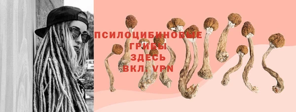 эйфоретик Балахна