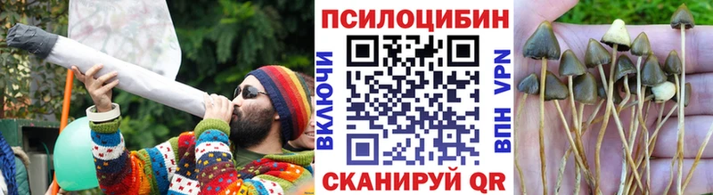 Псилоцибиновые грибы мухоморы OMG зеркало Ясногорск где купить наркотик
